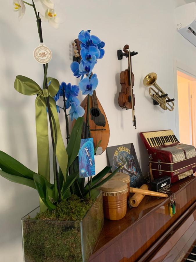 לינה וארוחת בוקר Music House פאלינורו מראה חיצוני תמונה